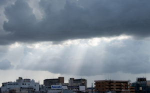 東京都足立区新田：台風の荒川土手