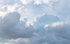 東京都北区鹿浜：台風の荒川土手