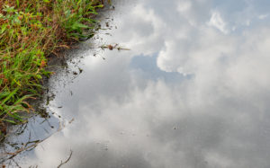 東京都北区鹿浜：台風の荒川土手
