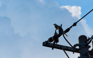 東京都足立区鹿浜：台風の荒川土手