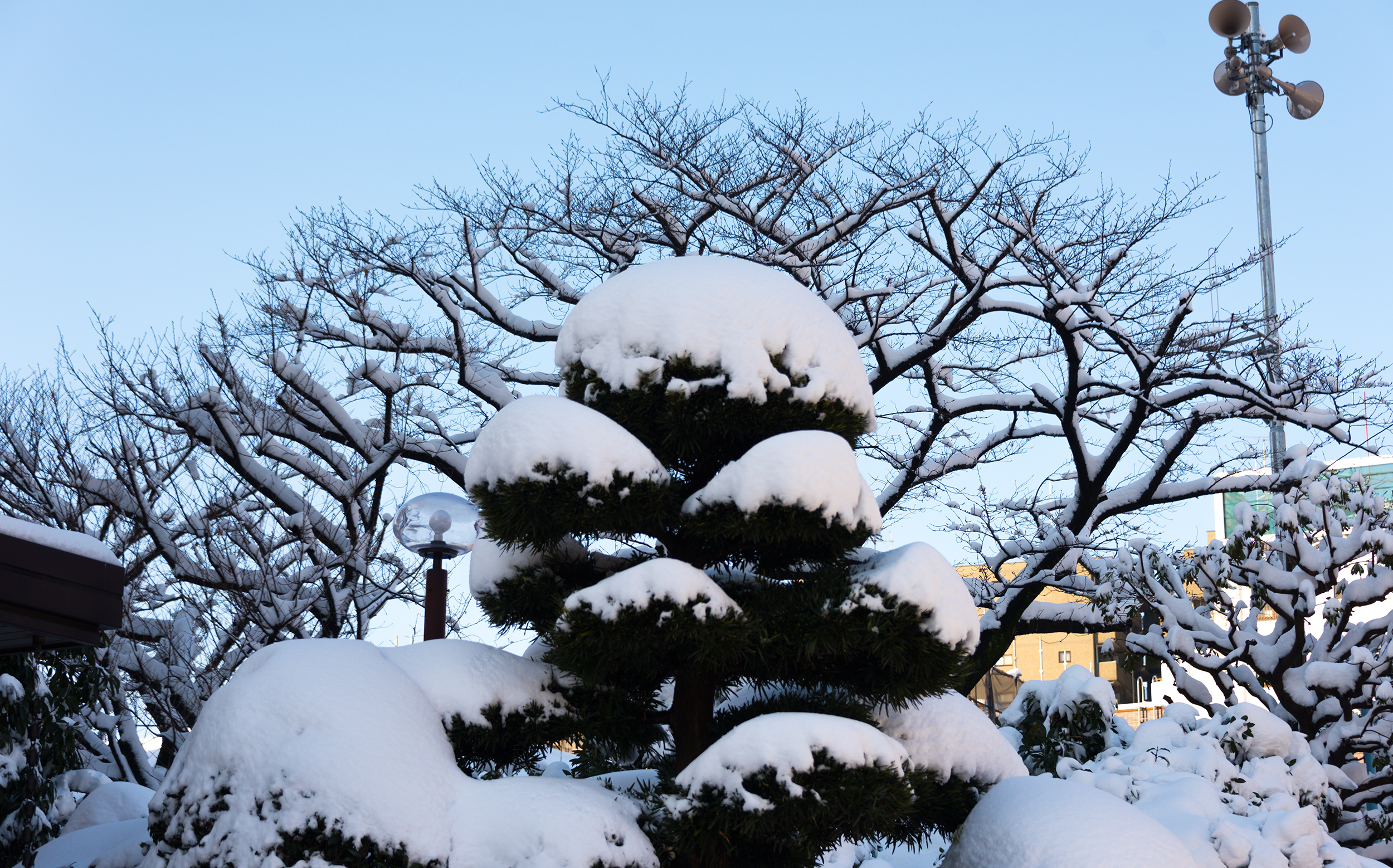 2018年1月22日：東京の積雪