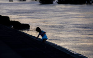 東京都板橋区舟渡：2019年台風19号後の荒川