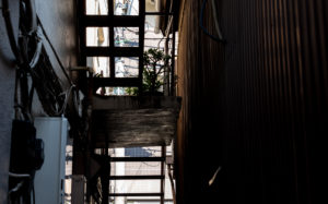 東京都墨田区向島