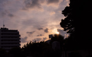 東京都文京区大塚：護国寺