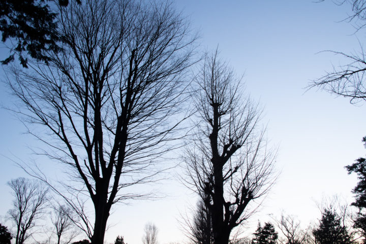 東京都豊島区雑司が谷