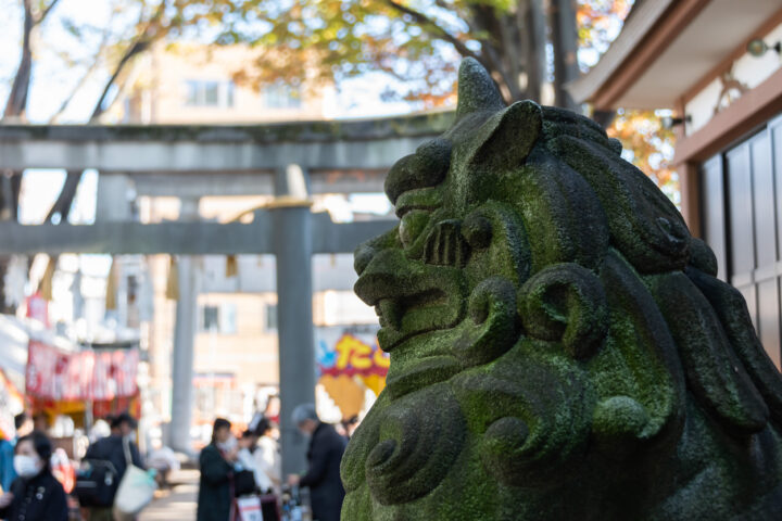東京都豊島区雑司が谷：大鳥神社の酉の市