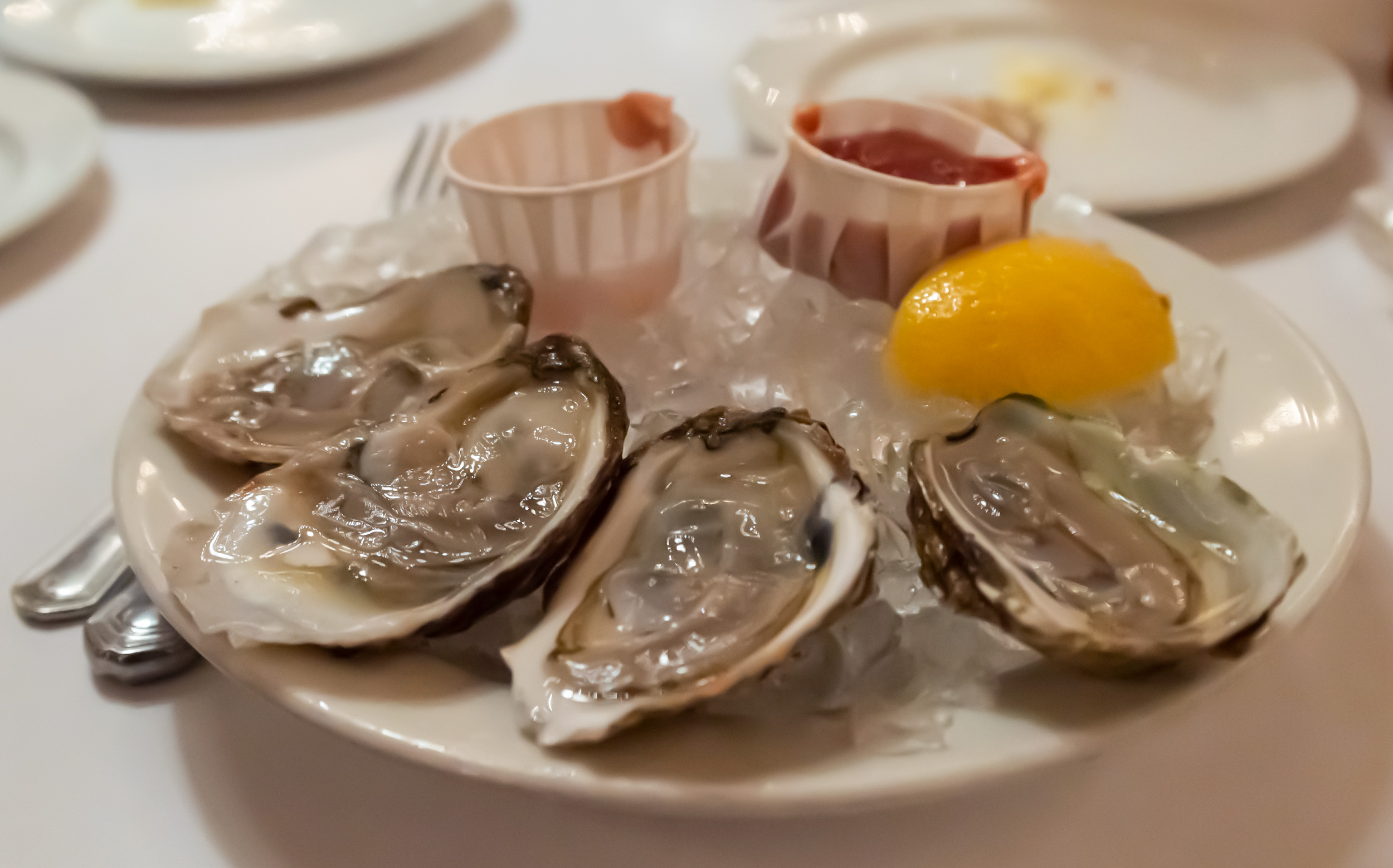 89 E 42nd St, New York, NY : Grand Central Oyster Bar