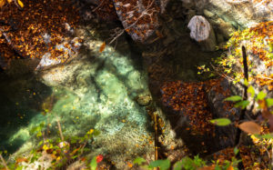 埼玉県奥秩父：入川渓谷