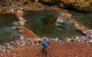 埼玉県奥秩父：入川渓谷