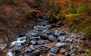 埼玉県奥秩父：滝川
