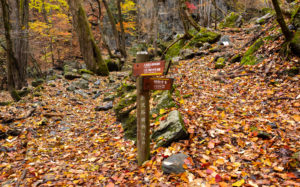 埼玉県奥秩父：入川渓谷 赤沢谷出合