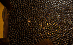 東京都文京区本郷：鳳明館 台町別館