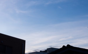 東京都豊島区雑司が谷：夏の空