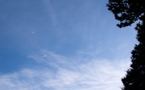 東京都豊島区雑司が谷：夕暮れ