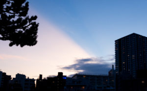 東京都豊島区雑司が谷：夕暮れ