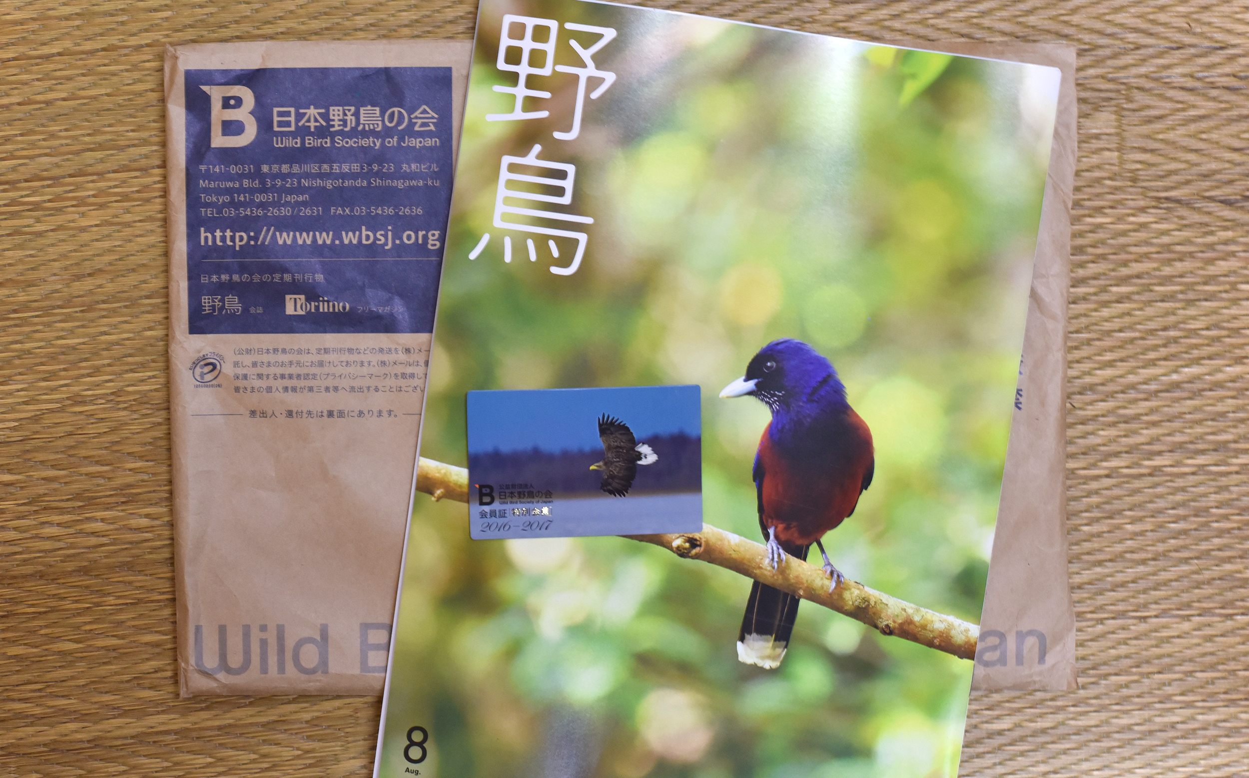 日本野鳥の会