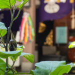 東京都豊島区雑司が谷：大鳥神社「雑司が谷ナスと鎮守の市2022」